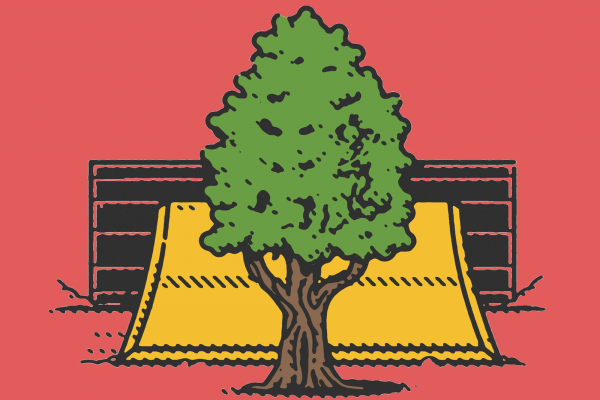 Illustration of a Cypress tree with a bulldozer coming up behind it