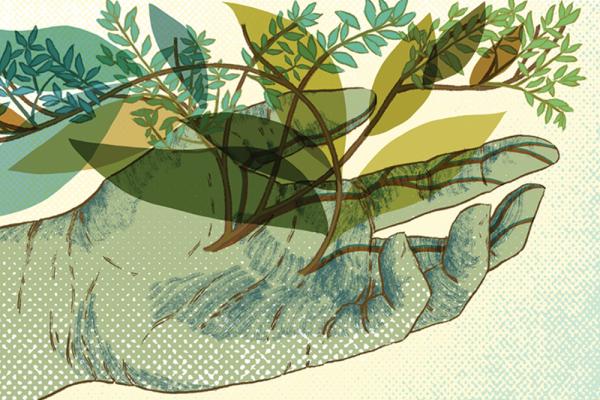 An illustration of a open light green hand with leaved branches sprouting upwards and tangling along the fingers. Larger and abstracted olive-colored silhouettes of leaves are intermingled with the branches.