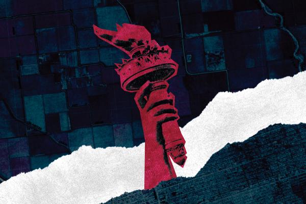 An illustration of the Statue of Liberty's torch, completely colored in red. The torch is ripping through a tear in the background, which depicts an aerial view of land plots in a dark blue tint.