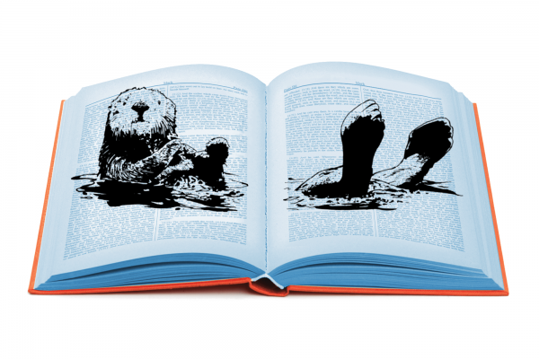 A drawing of an otter looking like it is floating on the pages of an open book.