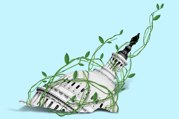 The dome of the Capitol being entangled by green vines.