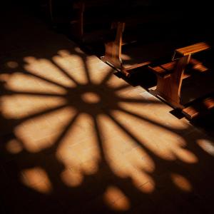 A rose window casts a shadow on pews and a stone floor.