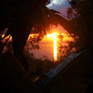 Sunset over the Pacific. The view from the Sojo West offices. Photo by Cathleen 