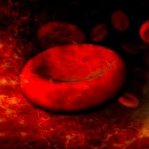 Red blood cells. Image via Wylio, http://bit.ly/ysvxWb.