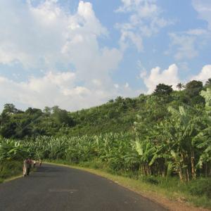 Roadway in Burundi. Photo by Janelle Tupper / Sojourners