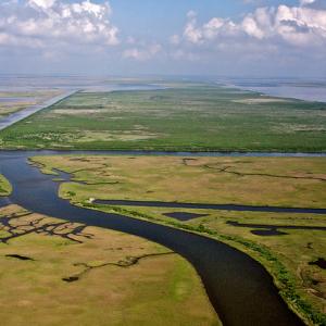 Photo courtesy Gulf Restoration Network.