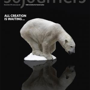 Polar bear on shrinking ice from the December 2009 issue of Sojourners 