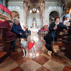 Owners with their dogs attend a blessing of pets and animals.(Photo by Marco Sec