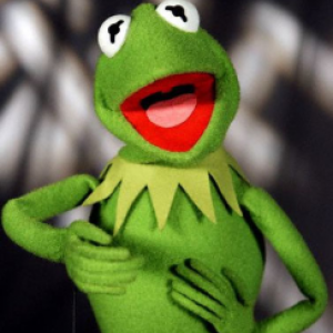 Kermit the Frog. Image via Wiki Commons # bit.ly/u6wWMc