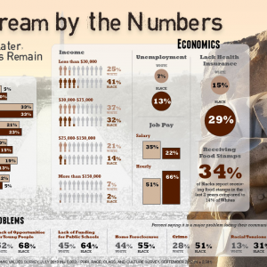 "Dream by the Numbers" infographic details racial inequality that exists in mult