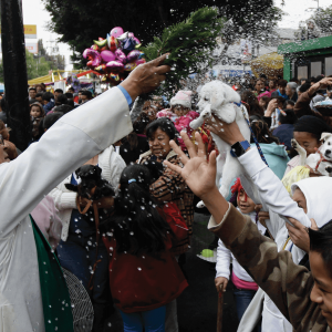 A crowd holds small dogs aloft as a priest flings droplets of holy water over the crowd
