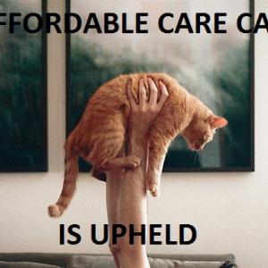 'Affordable Care Cat is Upheld' via the new blog affordablecarecat.com