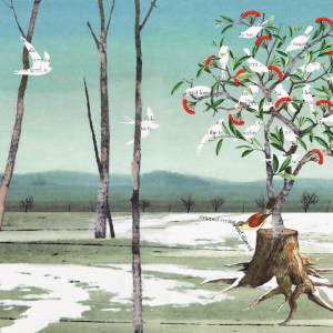 Illustration of a winter forest with birds flying or resting in trees.