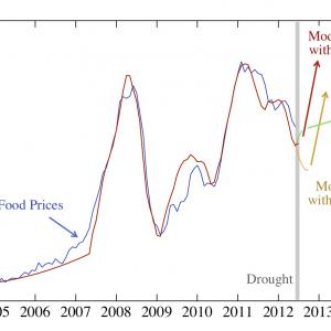 See the chart at http://necsi.edu/research/social/foodprices/updatejuly2012/