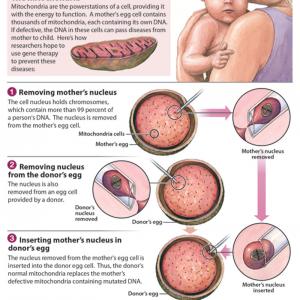  Graphic courtesy Oregon Health and Science University via RNS. 