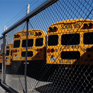 A row of yellow school buses parked behind a chain link fence.