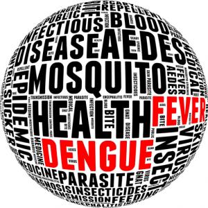 Dengue fever info-text. Via mrfiza / Shutterstock