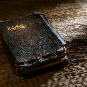 Photo: Bible, olivier / Shutterstock.com