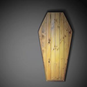 Wood coffin image, _Lonely_ / Shutterstock.com