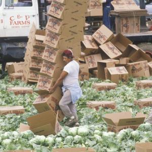 Photo: Migrant farm workers in California, spirit of america / Shutterstock.com