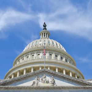 U.S. Capitol Building, Orhan Cam / Shutterstock.com