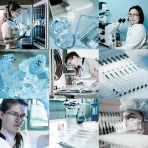 Scientists in a lab, anyaivanova / Shutterstock.com
