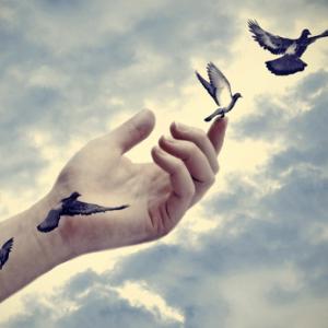 Bird tattoos come to life, Marianne D / Shutterstock.com