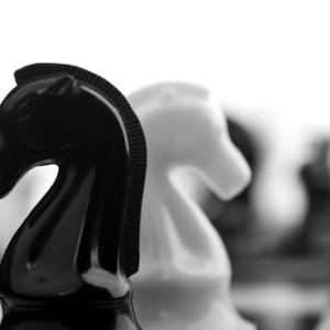 Opposing chess pieces, Dima Sobko / Shutterstock.com