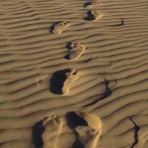 A single pair of footprints. Photo courtesy grebcha/shutterstock.com