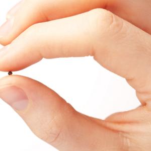 Hand holdng a mustard seed, ptnphoto / Shutterstock.com