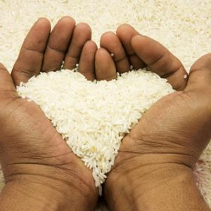 Hands holding rice, imanhakim / Shutterstock.com