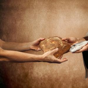Generosity with loaves and fishes. Image courtesy Antonio Gravante/shutterstock.