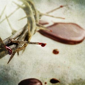 Crown of thorns, Stephanie Frey / Shutterstock.com