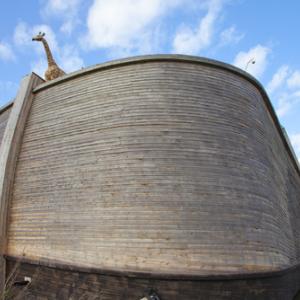 Replica of Noah's Ark in the Netherlands, Gigra / Shutterstock.com