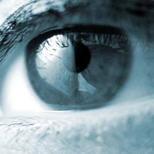 Eye photo, Greg Soybelman/Shutterstock.com