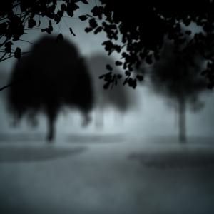 Dark gothic scene, wavebreakmedia / Shutterstock.com