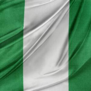 Nigerian flag. Image via STILLFX/shutterstock.com