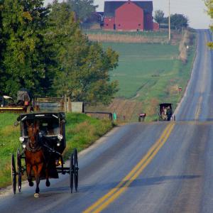 Amish buggies, Weldon Schloneger/Shutterstock.com