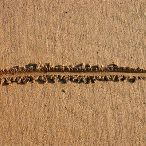 Drawing a line in the sand, Stephen Rees / Shutterstock.com