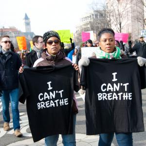  Protests in Washington, D.C., on Dec. 18, Rena Schild / Shutterstock.com