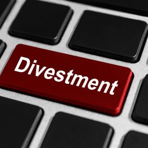 An option to divest. Image courtesy pichetw/shutterstock.com