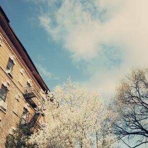 City in Spring, Andrekart Photography / Shutterstock.com