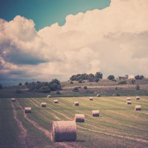 Farm landscape, dvoevnore / Shutterstock.com