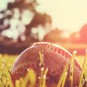 baseball park baseball park