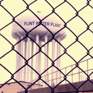 Flint Water Tower Plant