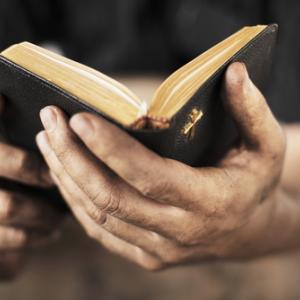 Man holding Bible photo,  Stocksnapper / Shutterstock.com