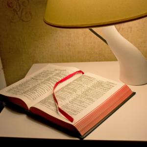 Hotel Bible, alika / Shutterstock.com