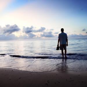 Walking on the beach, Iakov Kalinin / Shutterstock.com