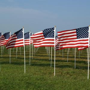American flags commemorating 9/11, Vladimir Korostyshevskiy, Shutterstock.com