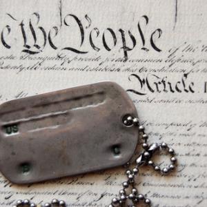 Photo: Dogtags on the Constitution, Sergey Kamshylin / Shutterstock.com